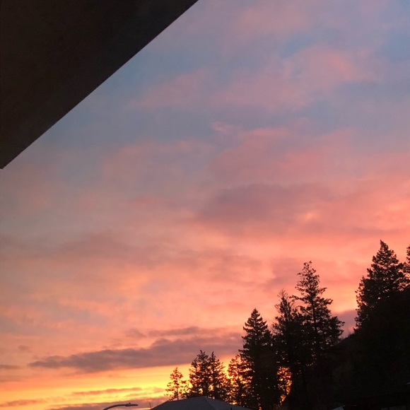 Meet your Posher, Tess - Picture 1 of 1